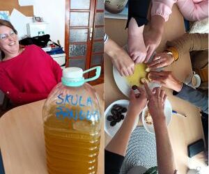 Školski maslinik Žardin