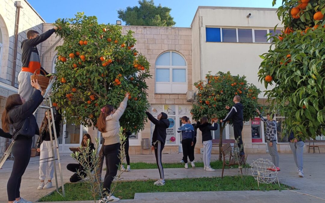 Što sve može ljuta naranča…